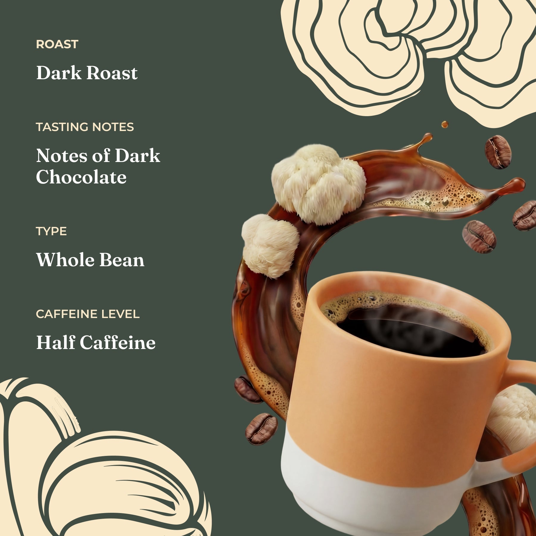 focus-half-caf-whole-bean-coffee-d8 Taste_-_Focus_Half_Caf_Whole_Bean_d1d02c35-db99-498e-ac43-813730db6953.jpg