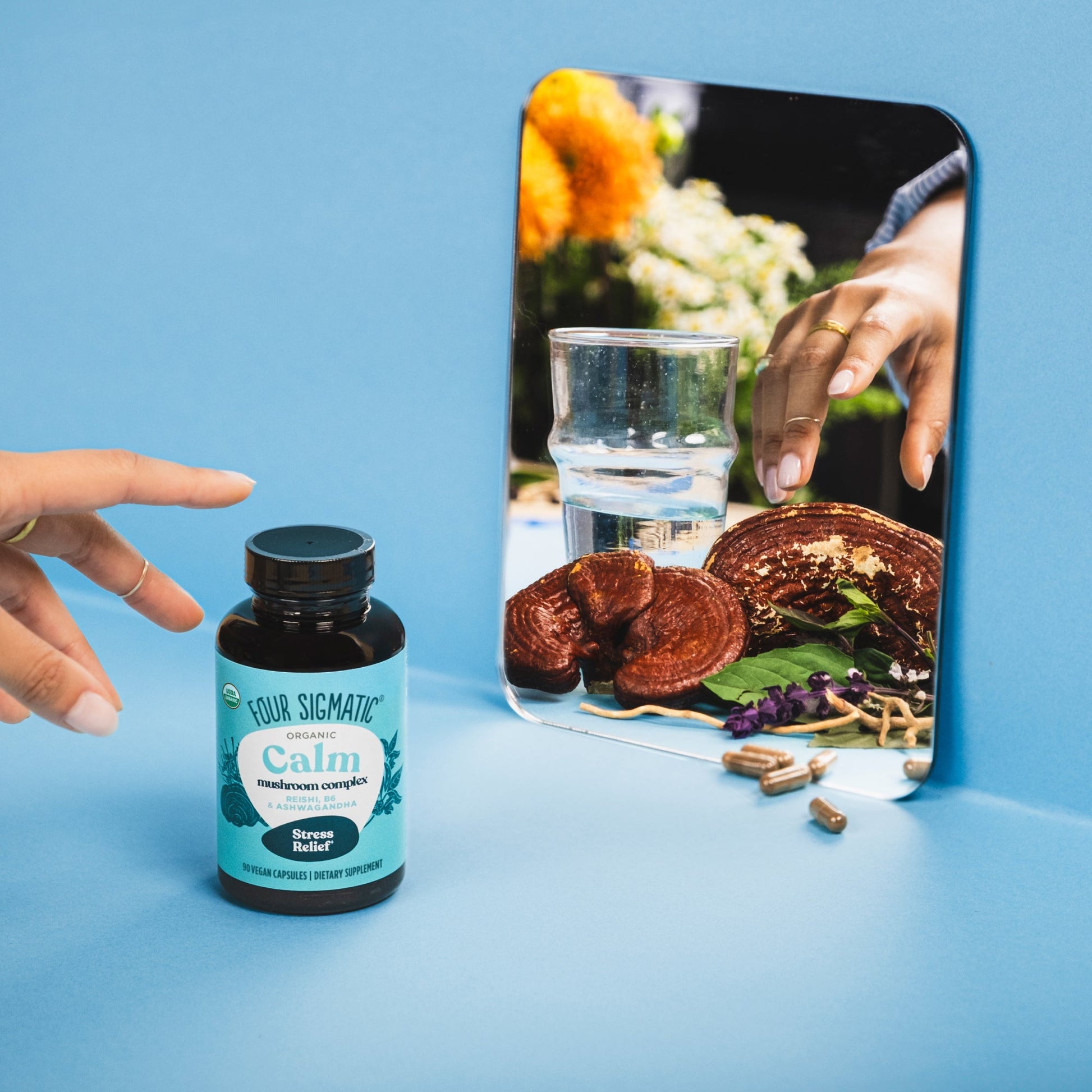 calm-capsules-v9 calm-capsule-1.jpg